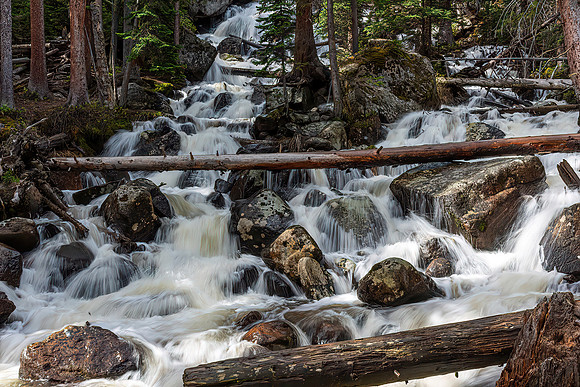 Spring Cascades
